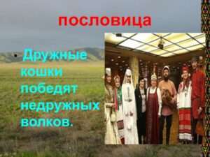 druzhnye koshki nedruzhnyh volkov pobedili Поговорка дружные кошки недружных волков победили.